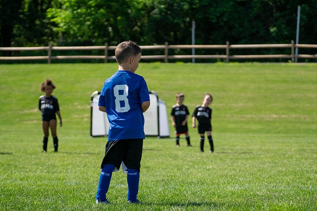 香港金牛连续2天击败CBA球队，将与上海争夺一个出线名额